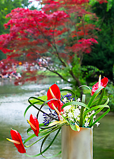 Japanische Blumenkunst Ikebana am Japanfest in München