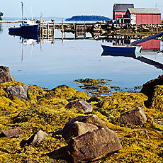 Einsamer Hafen auf Neufundland