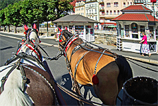 Pferdekutschfahrt in Karlsbad