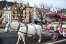 Pferdekutschen in Karlsbad