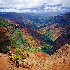 Waimea Canyon Lookout