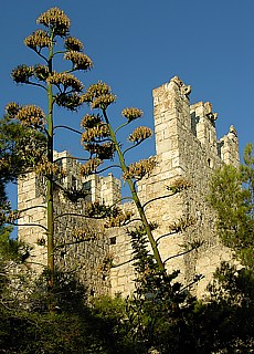 Mittelalterliche Burg in Hvar