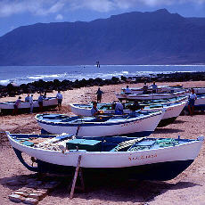 Versunkenes Schiff am Strand von Famara (Februar)