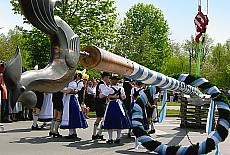 Maibaumfest in Thalkirchen
