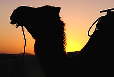 Sonnenuntergang in der Wüste bei Merzouga (September)