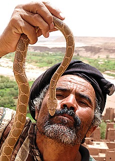 Schlangenbeschwörer in der Kasbah Ait Ben Haddou (November)