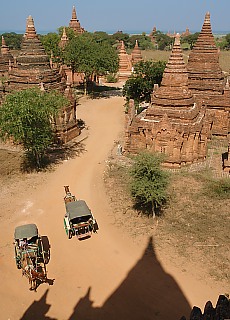 Kutschen in Bagan (Juli)