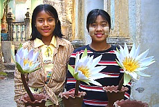 Lotusblumen in der Shwe Ba Taung Pagode