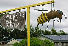 Bienchen summ - Honigverkauf bei Palmerston