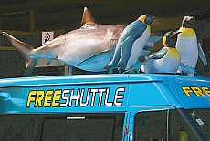 Origineller Shuttlebus in Auckland