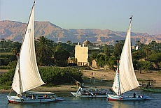 Feluken unter weissen Segeln am Nil