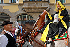 Mnchner Kindl beim Einzug der Wiesenwirte