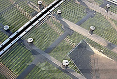 Blick durch die Plexiglasplatten des Olympiazeltdaches