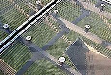 Blick durch die Plexiglasplatten des Olympiazeltdaches