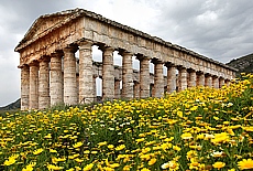 Griechischer Tempel in Segesta