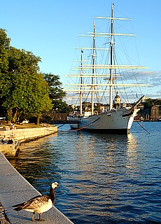 Sonnenuntergang in Stockholm Skeppsholmen
