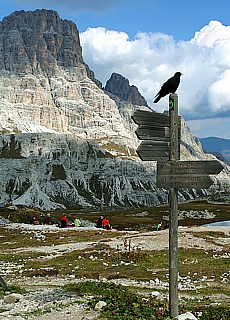 Wegweiser bei der Drei Zinnen Htte (Juni)