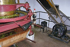Nostalgische Teefabrik auf São Miguel