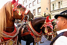 Wiesenwirte beim Oktoberfest-Einzug