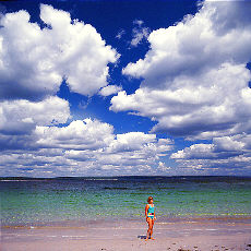 Traumstrand in Nova Scotia (Juli)