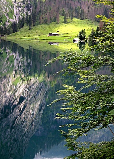 Zauberwald am Obersee des Königssees